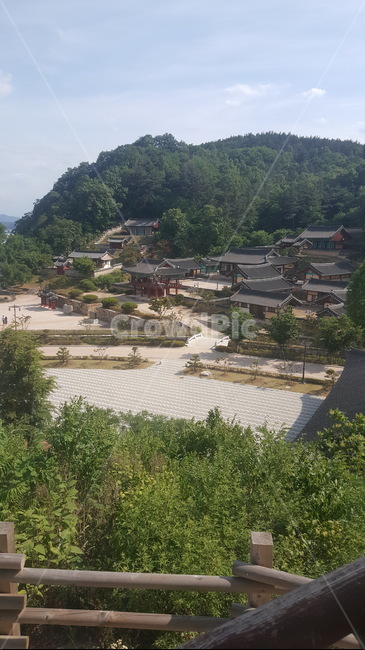 임고서원,나무,산,옛건물,서원
