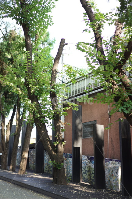 도서관,입구,오르막,빛,언덕,건축물,건물외관,exterior,building,structure,architecture,construction
