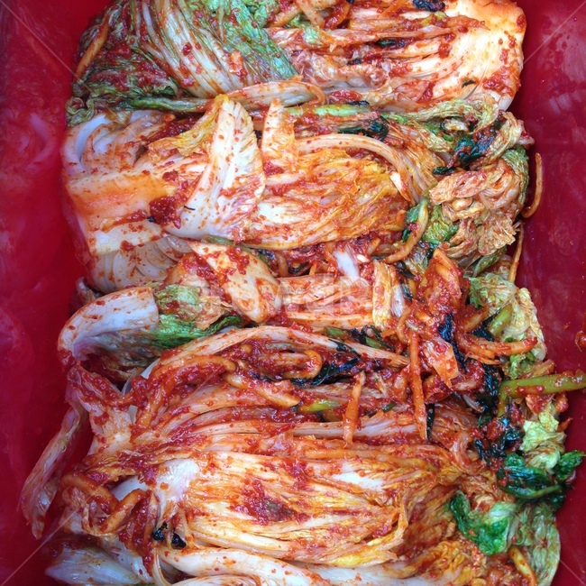 김치,김장,배추,무,김치양념,양념,고추,협동,시골,무채,무양념,김장철,겨울