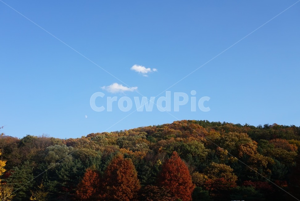 낙엽,가을,붉은산,단풍,오색산,가을하늘,10월,구름