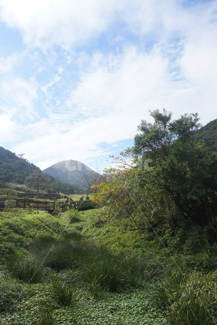 자연,nature,hill,나무,초록,산