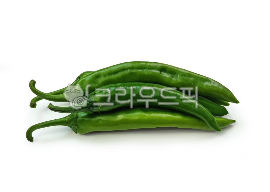 식재료,음식재료,고추,청양고추,풋고추,야채,채소,농작물,농산물,재배,여름,농사,농업,작물,밭작물,열매