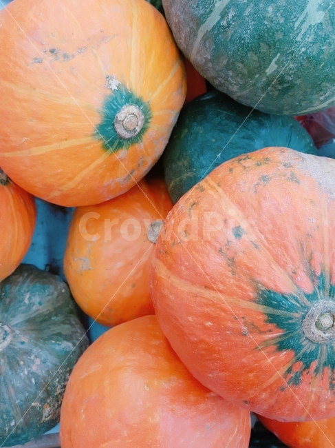 호박,가을,추수,할로윈,결실,자연,야채,채소,영양,다이어트,음식,수확,nature,pumpkin,음식,식재료,요리,food,cook,meal,dishes,food reserves,채소,야채,vegetables