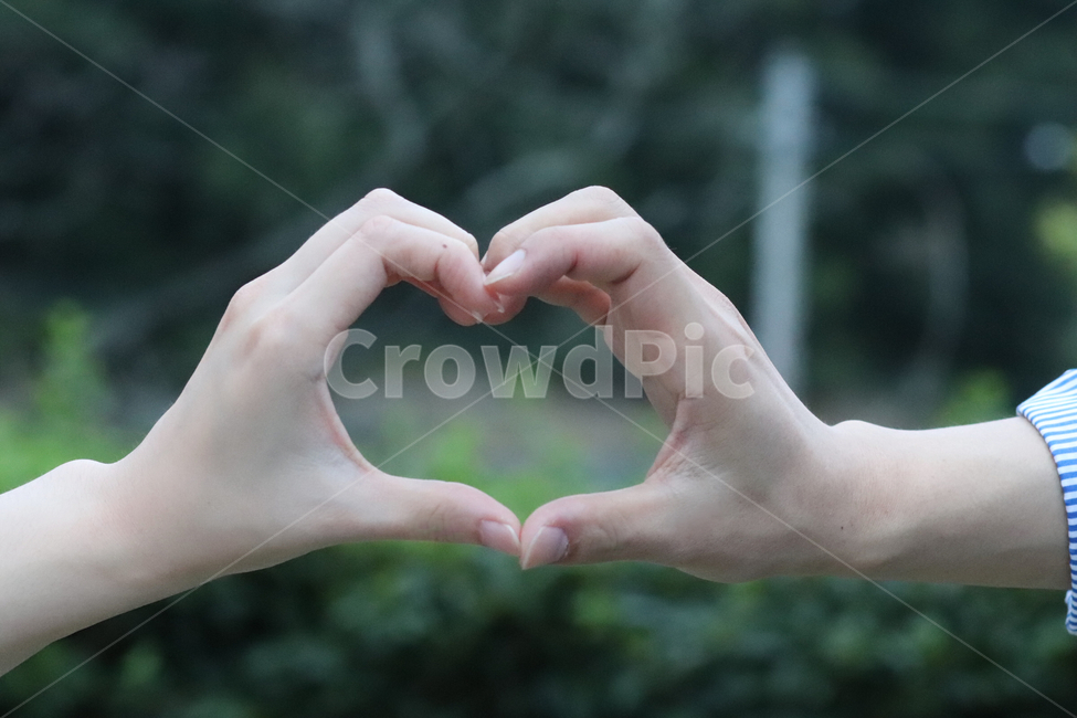 연인,웨딩,사랑,하트,부부,사람,인물,인간,human,person,신체일부,몸,body,감정표현,기분,feeling,emotion
