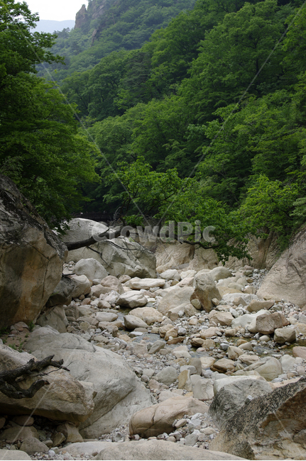 산,계곡,바위,암석,풍경,나무,설악산,자연,풍경,nature,landscape,rubble,파편