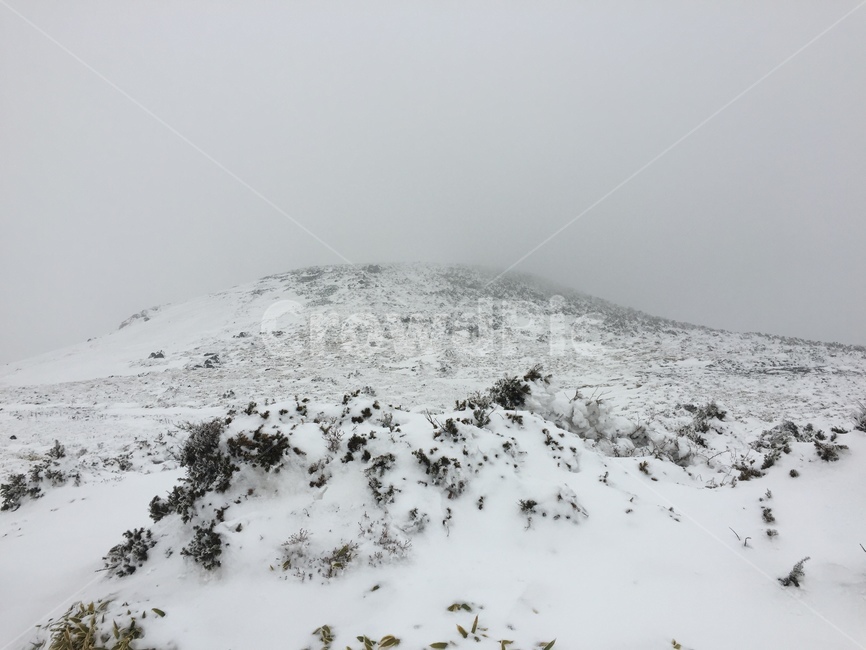 눈,겨울,설산,설경,한라산,눈내린산,눈오는산,산,풍경,산풍경,눈풍경,겨울,계절,winter,season