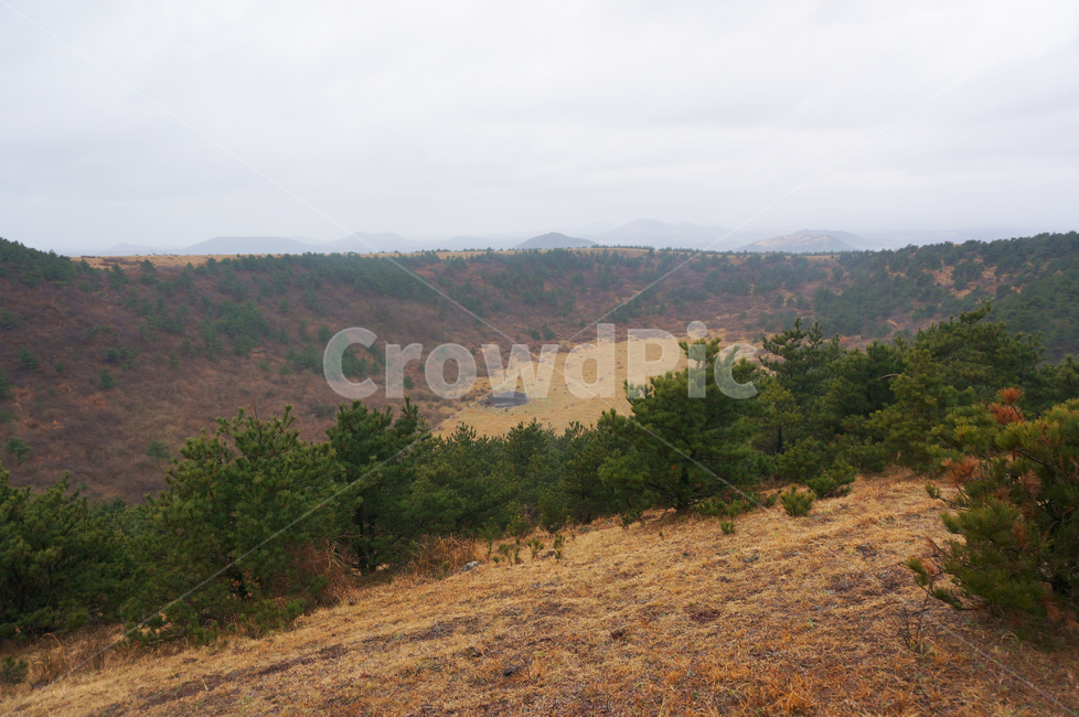 nature,자연,outdoors,옥외,제주도,자연,풍경,nature,landscape