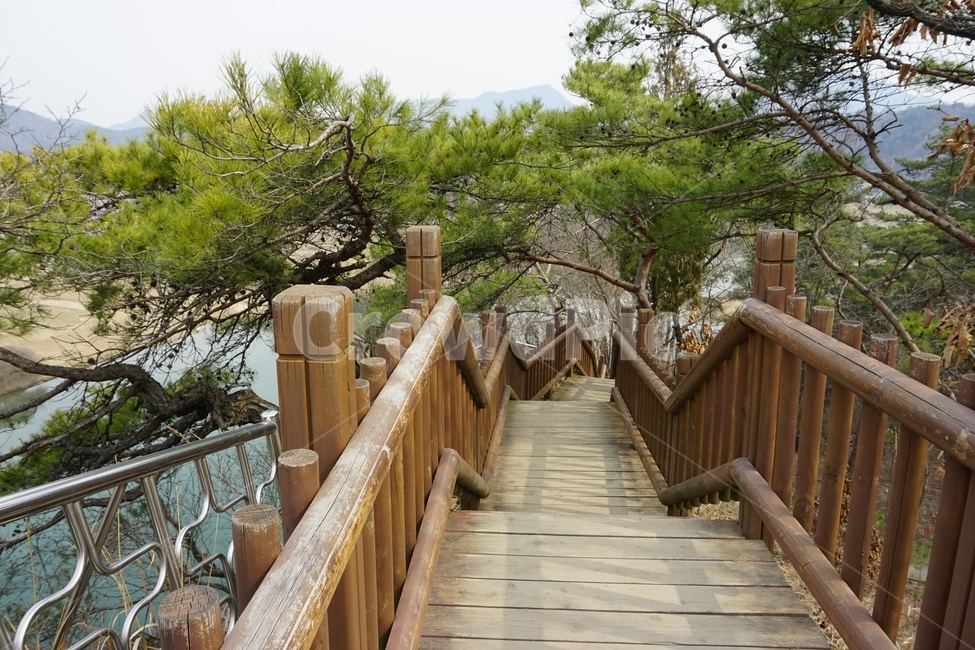 공원,다리,산책,봄,소나무,계단,자연,풍경,nature,landscape,handrail,난간,banister,wood,나무,building,건물