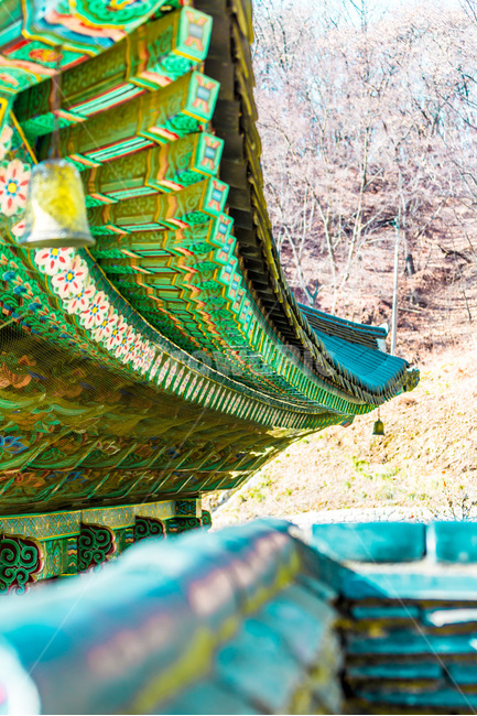 단청,선,사찰,기와,전통,한국전통,한국문화,korean traditional,korean culture,건축물,건물외관,exterior,building,structure,architecture,construction