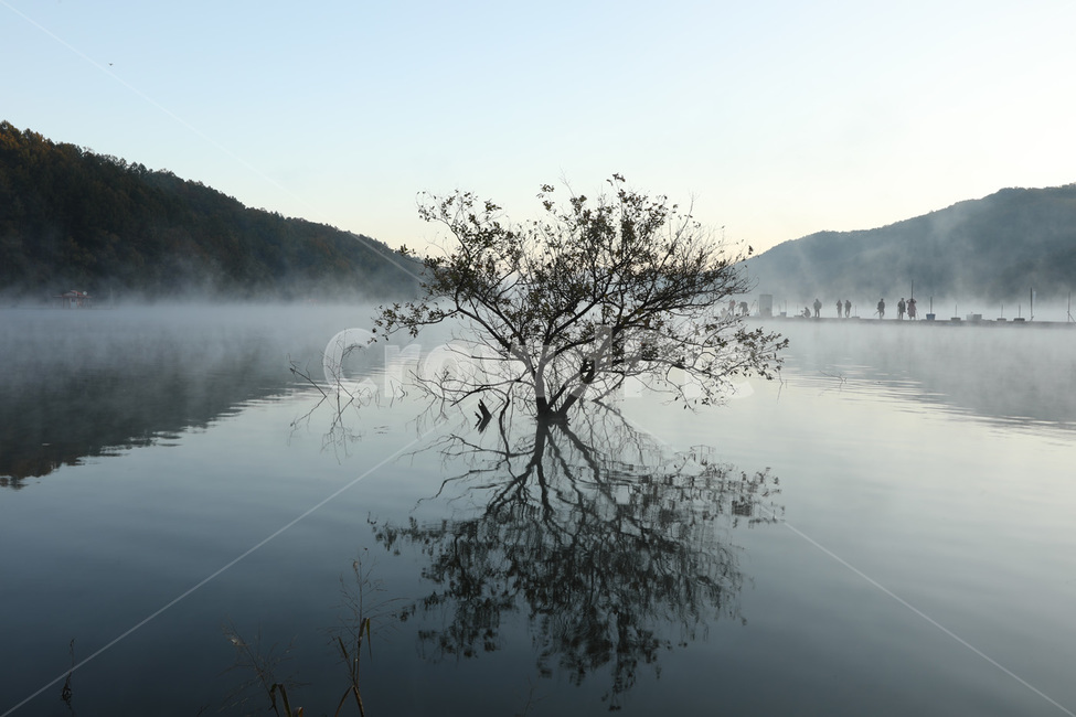 하늘,파랑,나무,물,안개,자연,풍경,nature,landscape,한국자연풍경,한국자연경관,korea nature landscape