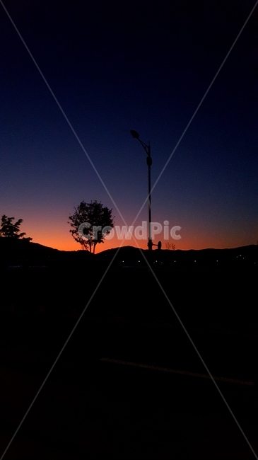 nature,자연,outdoors,옥외,silhouette,실루엣,나무,노을,밤,하늘