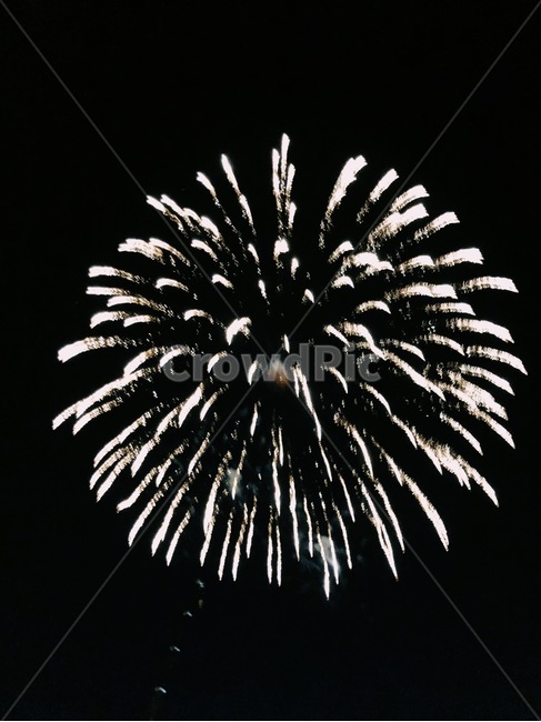 불꽃놀이,불꽃축제,여름,폭죽,불꽃,축제