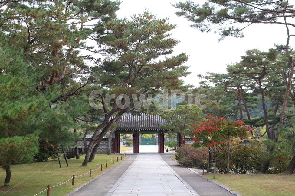 여주,조선왕릉,세종대왕릉,영릉,소풍,산책,한국전통,한국문화,korean traditional,korean culture,랜드마크,landmark,tourist attraction,한국랜드마크,한국관광지,한국명소,korea landmark,korea tourist attraction