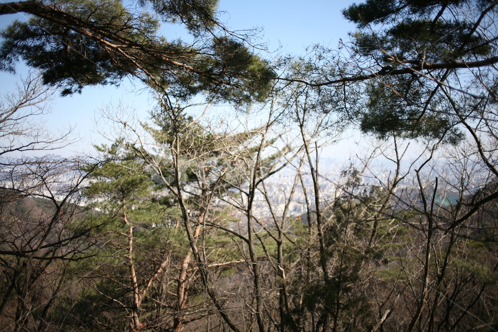 나무,낙엽,풍경,숲,산,북한산,mountain,tree,forest