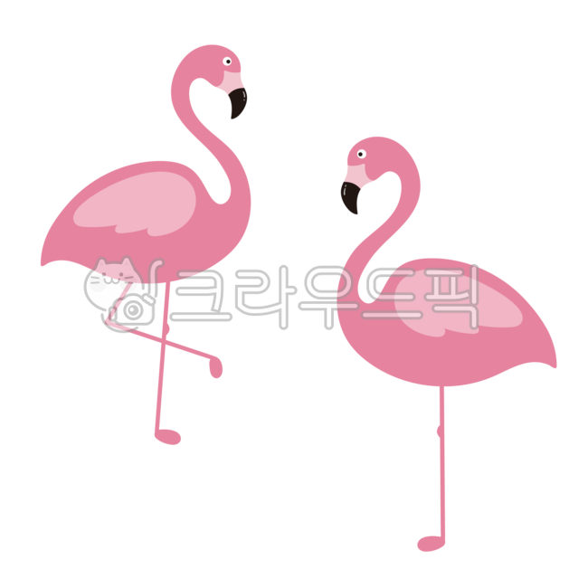 플라밍고,여름,디자인소스,png,핑크,새