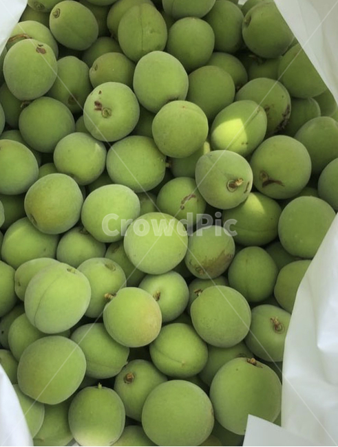식물,food,음식,fruit,과일,매실,plant