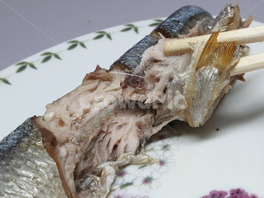 꽁치,꽁치구이,생선,생선구이,요리,음식,레시피,물고기,접시,fish