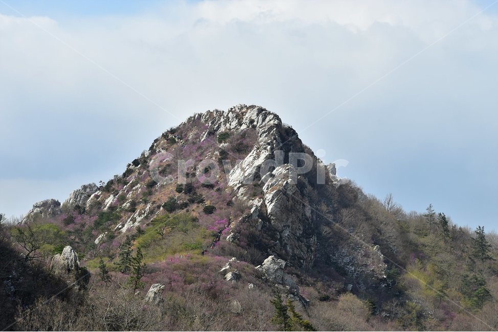 주작산,덕룡산,종주,진달래,풍경,기암,바위,비경,봄풍경,진달래꽃,강진,명산,산행,등산,마운틴,힐링,mountain,landscape,자연,natural,자연,풍경,nature,landscape,한국자연풍경,한국자연경관,korea nature landscape,outdoors,옥외,cliff,낭떠러지