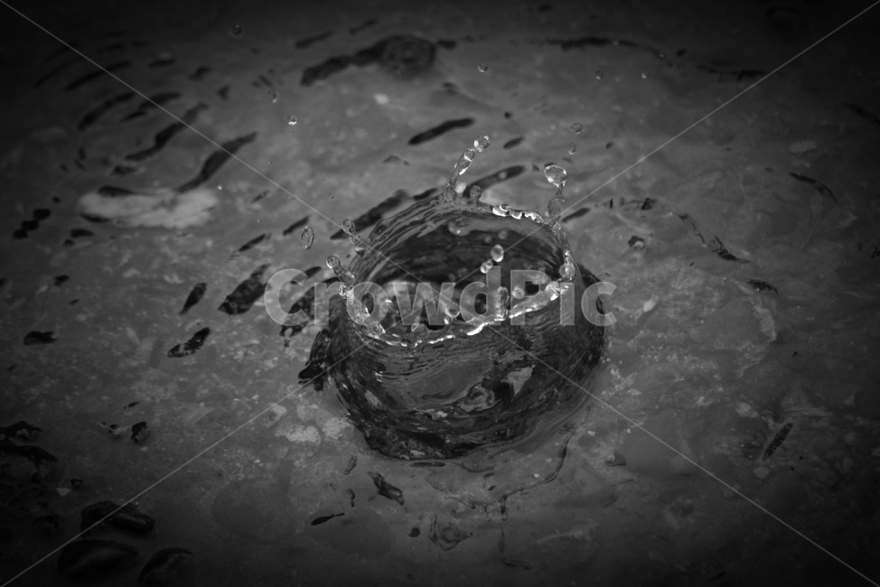 물방울,비,빗물,순간포착,흑백,waterdrop,raindrop,rain,crown,흑백,모노톤,monochrome,black and white