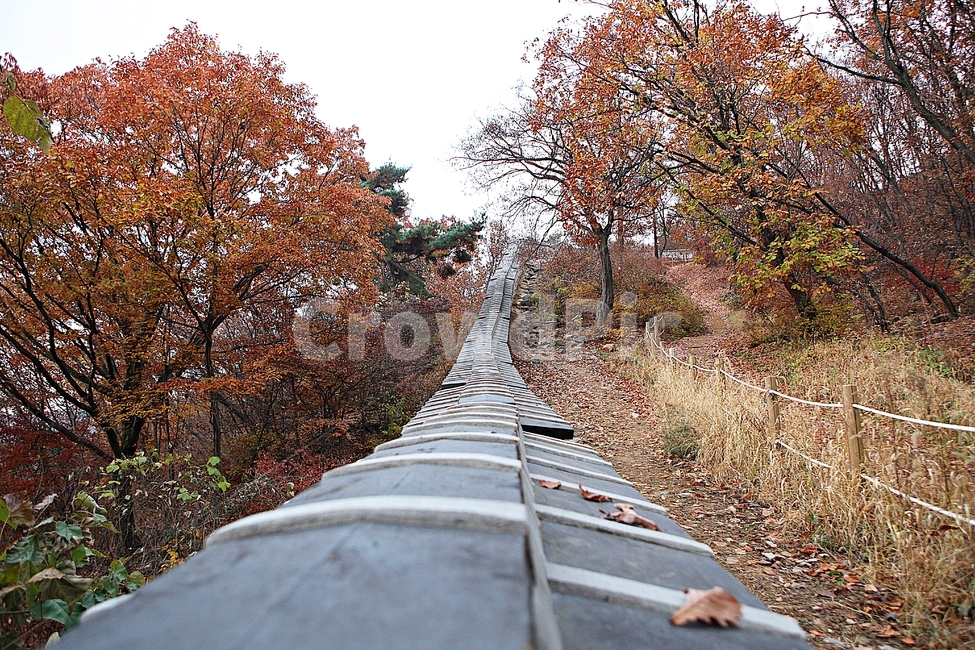 남한산성,성,성곽,단풍,낙엽,길,둘레길,담,돌담,가을,자연,풍경,벽,울긋불긋,산성,식물,가을,계절,fall,autumn,season,한국전통,한국문화,korean traditional,korean culture,path,통로,walkway,보도