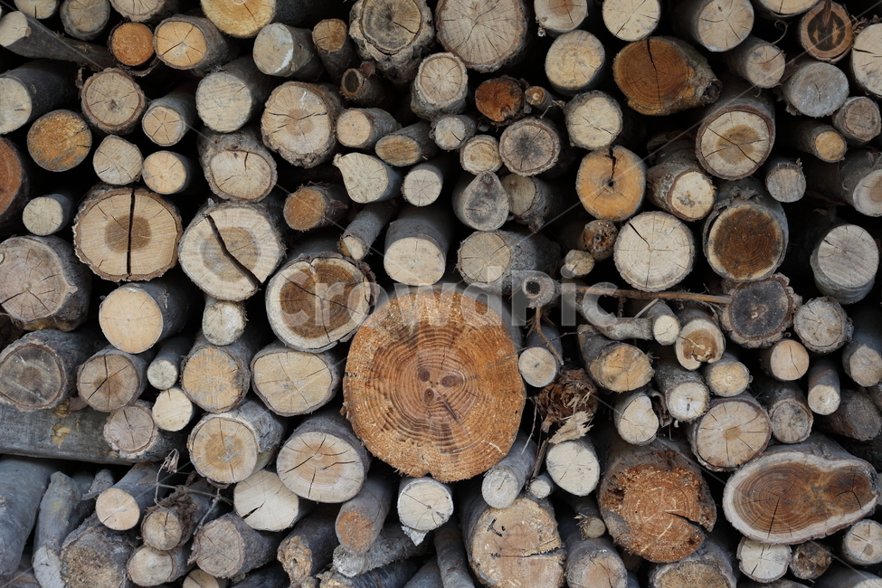 나무,장작,단면,wood,firewood,나무,trees,wood