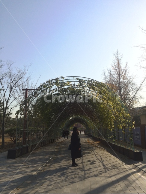 가을하늘,낙엽,초겨울,여자,옆모습,뒷모습,기다리는모습,기다림,외로움,쓸쓸함,자연,풍경,nature,landscape,사람,인물,인간,human,person,여성,여자,woman,female,lady,arbour,정자,garden,정원,outdoors,옥외