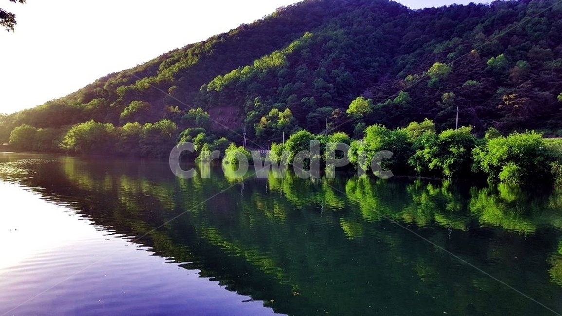 풍경,둘레길,자연,나무,저수지,물,자연,풍경,nature,landscape