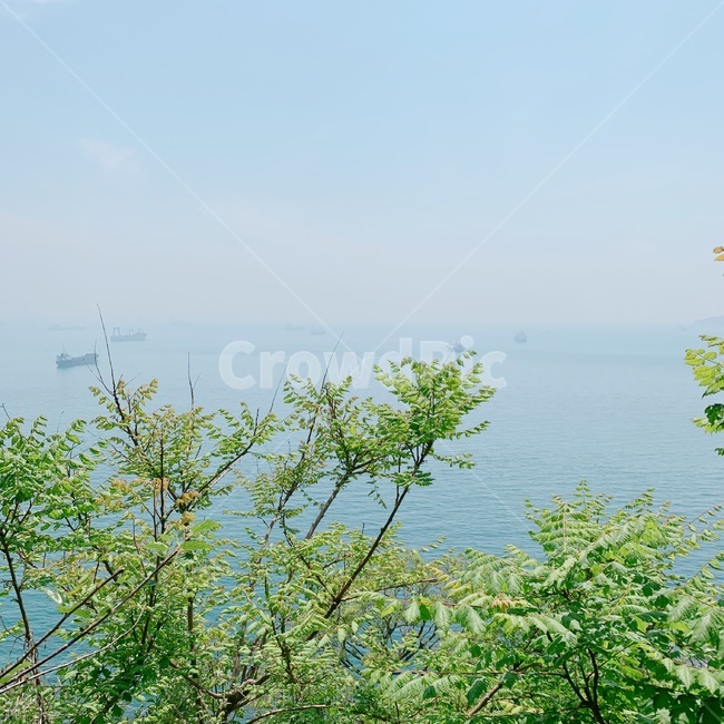 봄,spring,계절,season,바다,sea,봄바다,봄풍경,영도바다,영도풍경,수평선,horizen,배,ship,나무,trees