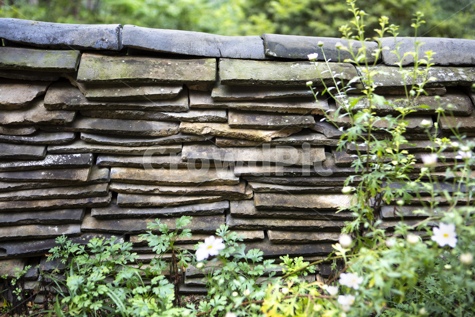 담,기와,꽃,패턴,기와담,줄,방울,한국전통,한국문화,korean traditional,korean culture,식물,자연,plants,nature,꽃,flower,건축물,건물외관,exterior,building,structure,architecture,construction