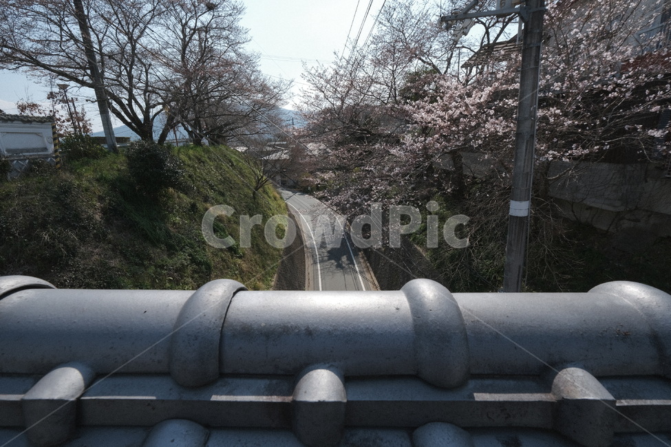 일본,japan,감성,마을,동네,소도시,자연,풍경,nature,landscape
