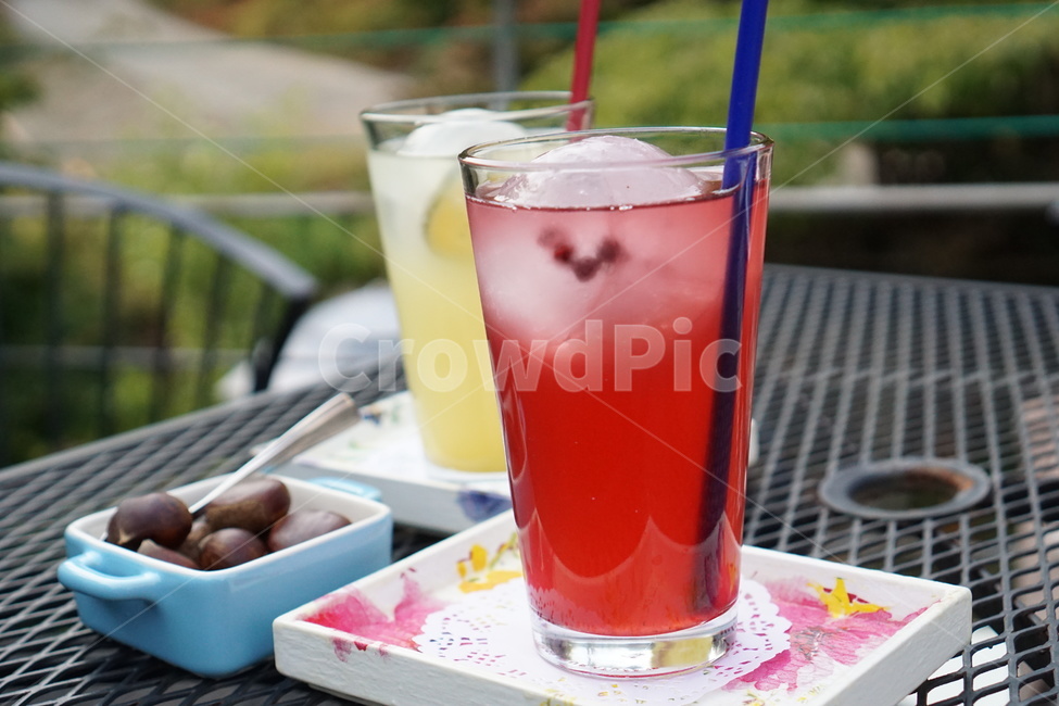 구기자차,음료,카페,차가운음료,구기자,음료수,drink,beverage