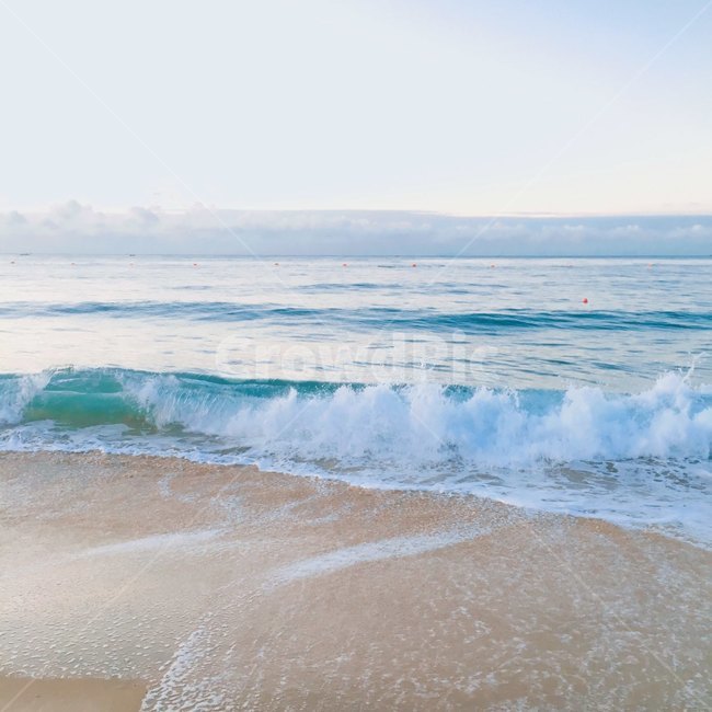 바다,물,자연,부산,해운대,아침,해변,바다,beach,sea