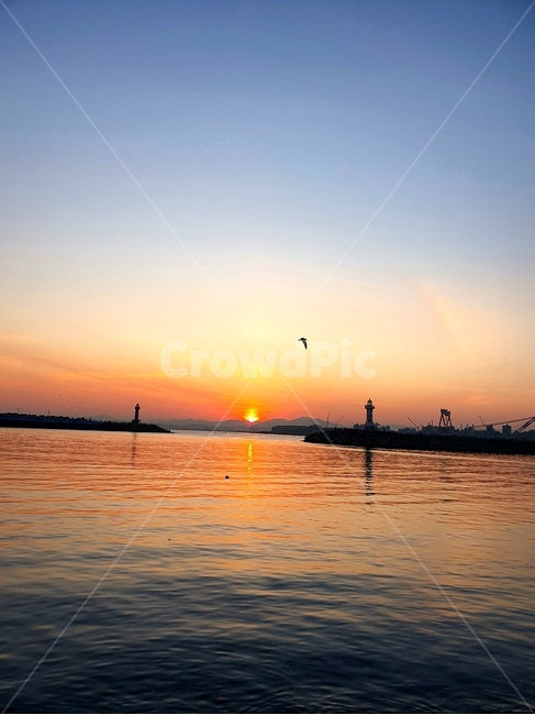 석양,animal,bird,redsky,일몰,붉은하늘