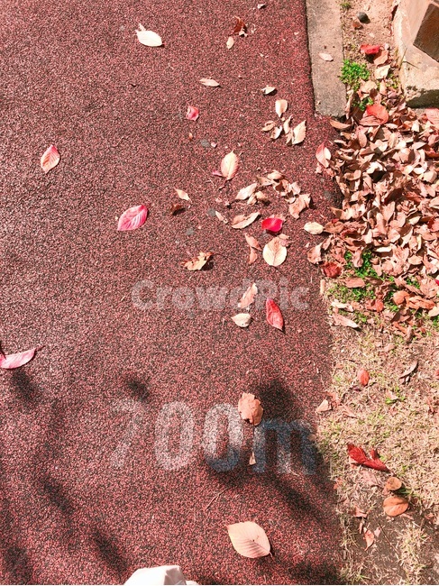 가을,호수,낙엽,하늘,공원,단풍,가을,계절,fall,autumn,season,ground,바닥