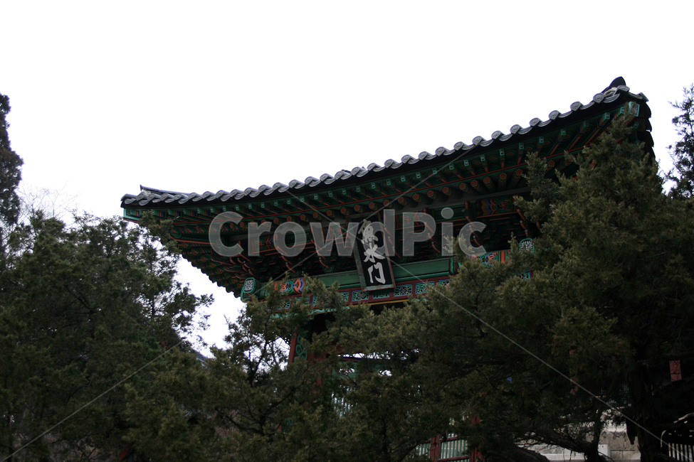 창덕궁,후원,주합루,세계문화유산,문화유산,한국,한국전통,한국문화,korean traditional,korean culture,랜드마크,landmark,tourist attraction,한국랜드마크,한국관광지,한국명소,korea landmark,korea tourist attraction,건축물,건물외관,exterior,building,structure,architecture,construction