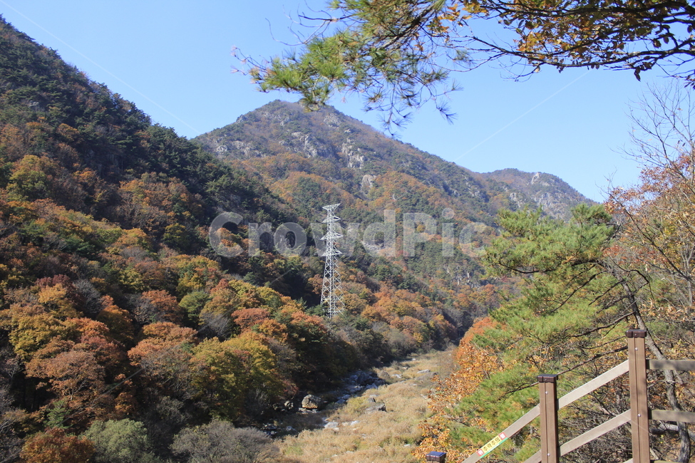 가을,단풍,풍경,산맥,산,등산,등산로,다채로운,낙엽,주황색,초록색,나무