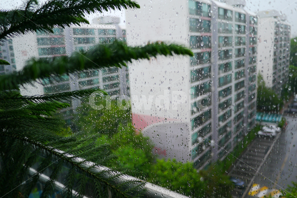 비오는날,아파트,베란다,초록,비,비,비오는날,rain,rainy