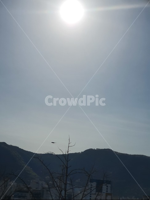 태양,하늘,산,나무,새