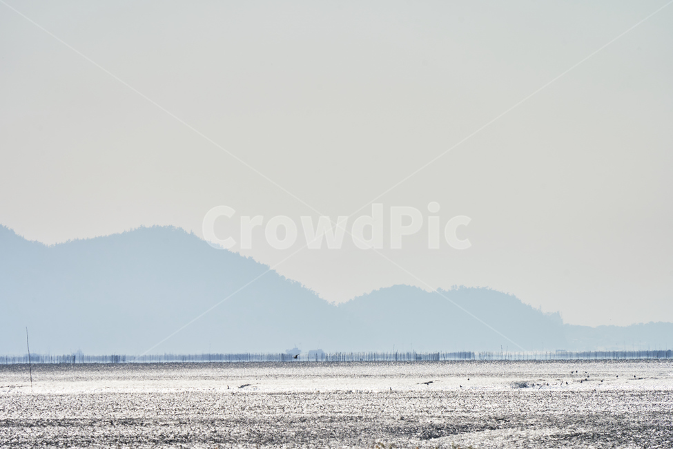 순천만습지,자연,풍경,순천,순천만,하늘,산,습지,자연,풍경,nature,landscape,한국자연풍경,한국자연경관,korea nature landscape