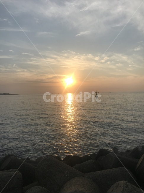 바다,노을,제주,항구,자연