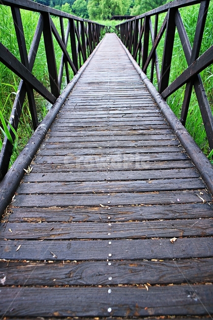 안산호수공원,산책로,길,공원,자연