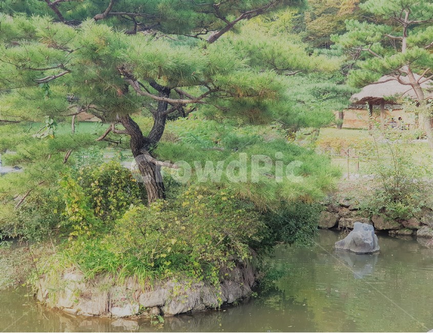 nature,background,natural,green,summer,white,blue,sky,plant,water,landscape,travel,fresh,spring,isolated,tree,season,organic,park,illustration,garden,view,day,beautiful,sun,wood,mountain,vacation,holiday,art,scenic,lifestyle,old,sunlight,life,cloud,concept,sunset,stone,공원,풍경,연못,나무,배경,자연,멋있는,오래된,보다,산책,식물,자연,plants,nature,나무,trees,wood