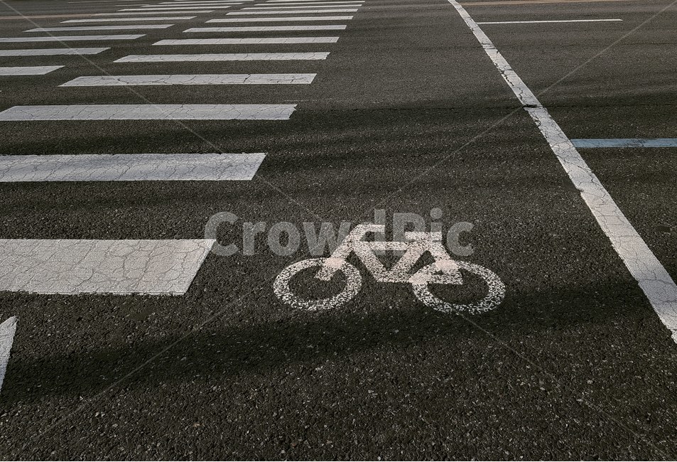 도로,도시,자전거,신호등,횡단보도,여유,감성,적막,그림자,교통,교통수단,traffic,transportation,asphalt,아스팔트,road