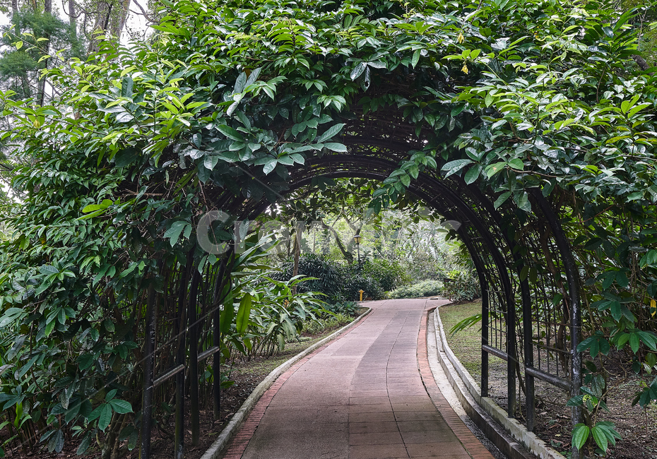 쿠알라룸푸르,자연,정원,식물,green,자연,풍경,nature,landscape,arbour,정자,garden,outdoors,옥외