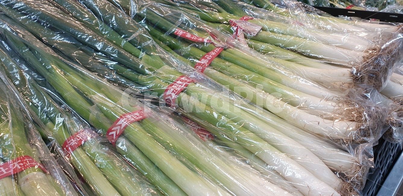 대파,채소,마트식품,시장대파,마트대파,마트채소,식재료