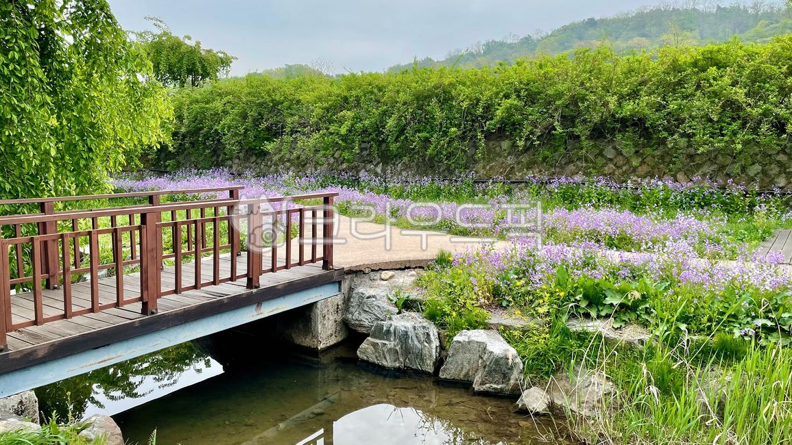 pond,outdoors,flowergarden,garden,flower road,water,park