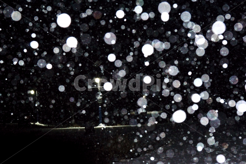 눈,눈내리는밤,년말,불빛,가로등,풍경,감성,겨울,계절,winter,season,자연,풍경,nature,landscape,야경,밤,nightscape,night