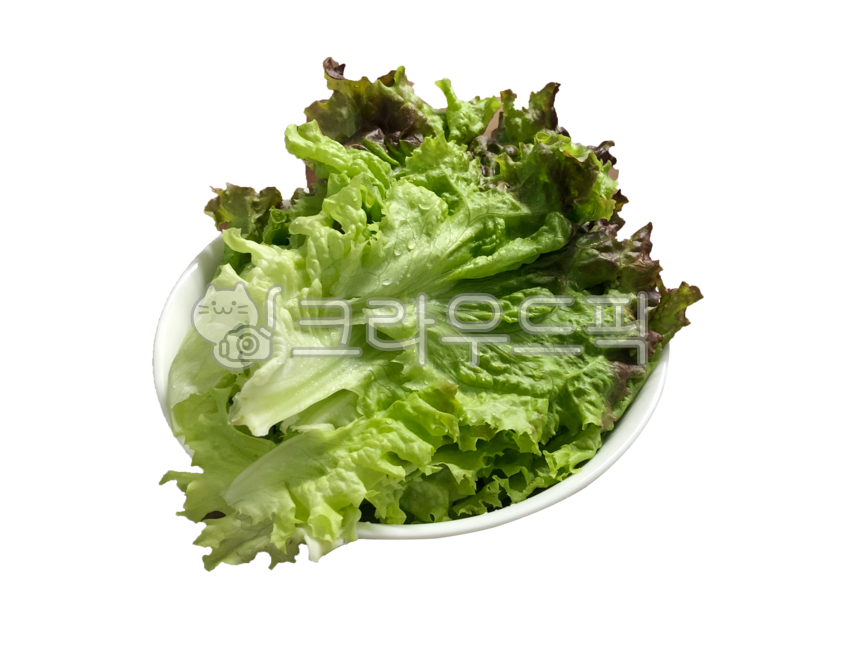 상추,쌈,누끼,배경,투명배경,야채,채소,초록색,식재료,잎,음식,식물,lettuce,ssam,isolated,background,transparentbackground,vegetables,green,ingredients,leaf,food,plant