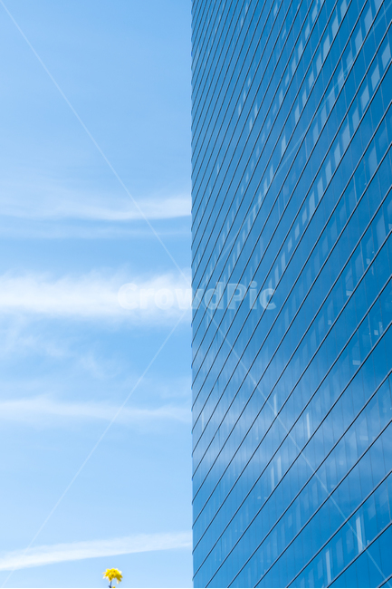 building,건물,officebuilding,사무실건물,하늘,파랑,봄,노랑꽃,도시,꽃,목련,봉오리,흰꽃,도시속봄,봄맞이,서울,건축물,건물외관,exterior,building,structure,architecture,construction