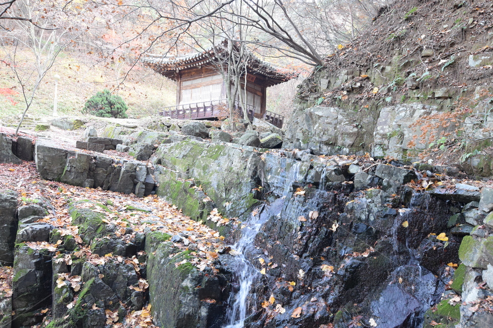 용담정,가을,낙엽,고즈넉함,한적함,가을,계절,fall,autumn,season,자연,풍경,nature,landscape,한국자연풍경,한국자연경관,korea nature landscape